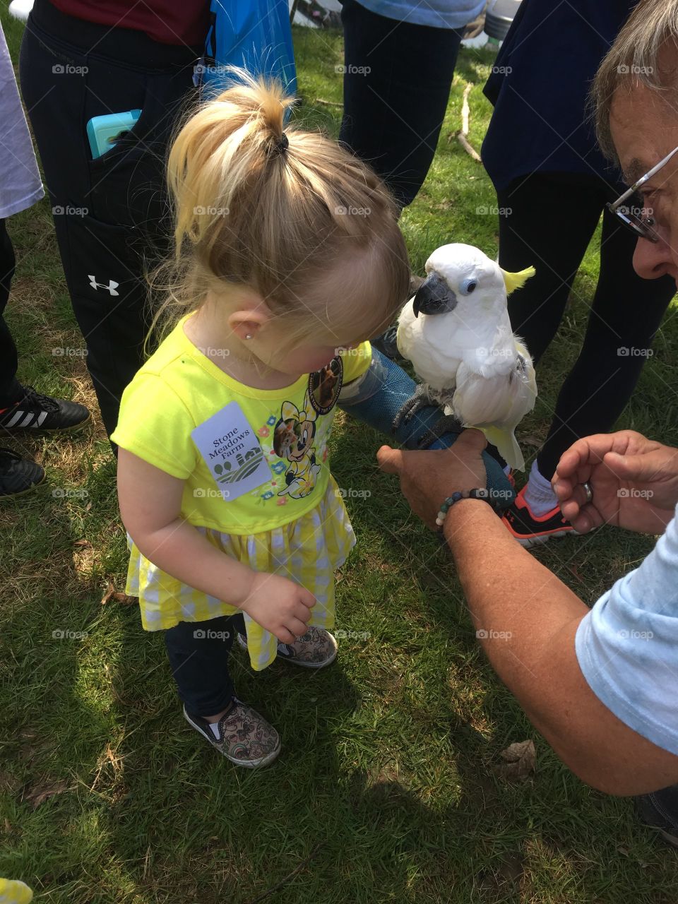 There is a parrot on my cast!