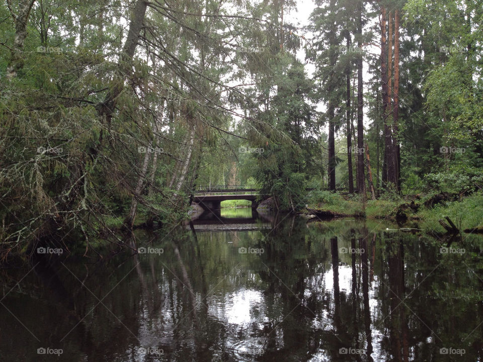sweden pond water lake by matildavirefjall
