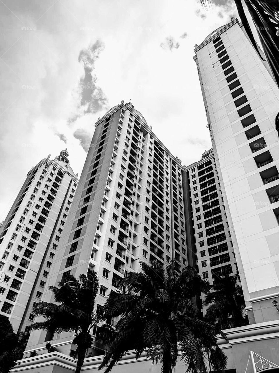 black and white portrait of a building