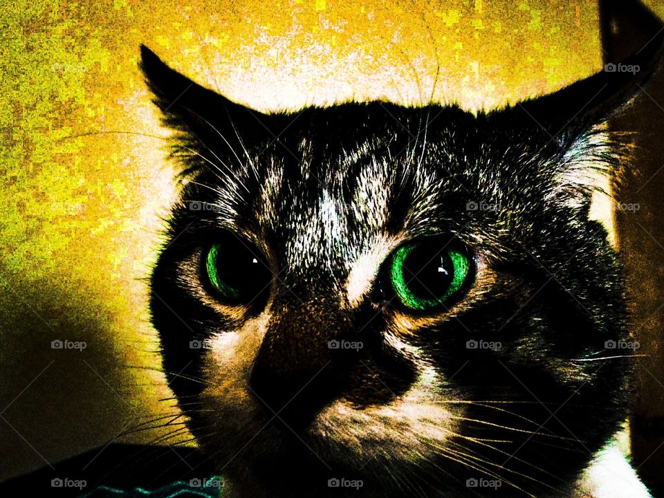 You heard that too, right?