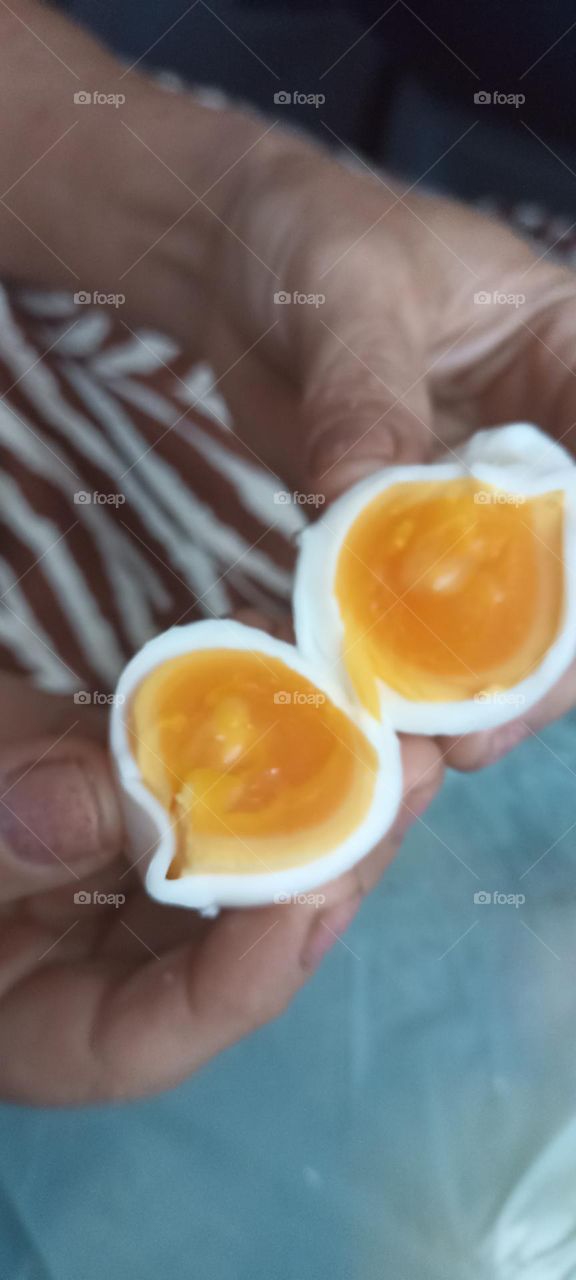 eggs