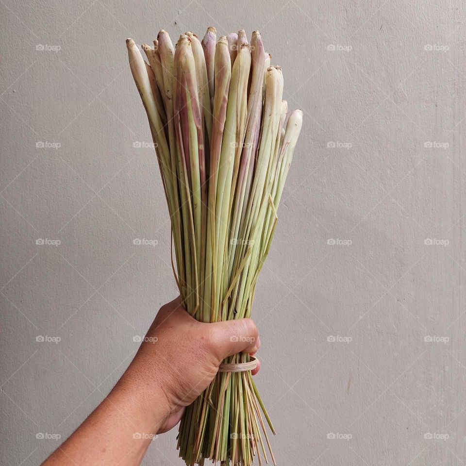 Lemon grass (Cymbopogon citratus) is a plant a member of the tribe herbs which is used as a spice to scent food and make herbal drinks for health