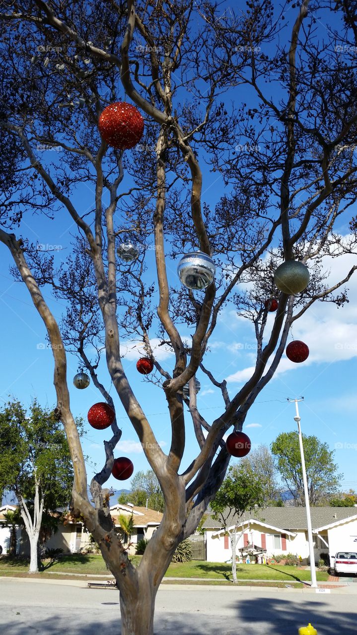 Outdoor Tree Decorations . outdoor Tree Decorations 