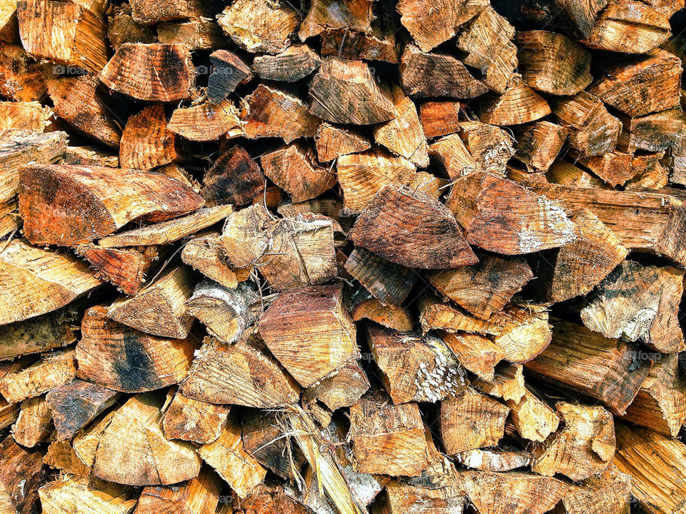 Large stack of firewood