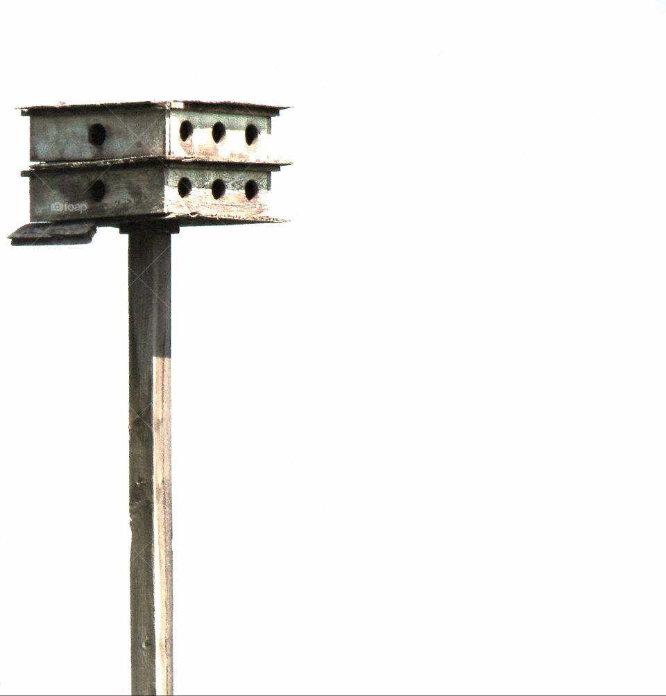 Purple Martin Birdhouse