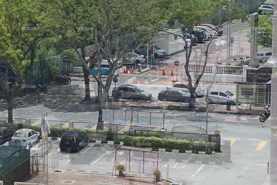 Green tree grow healthily at the parking lot at sunny day 