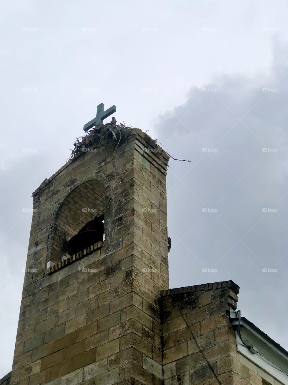 Looking up at osprey and osprey nest on church steeple 