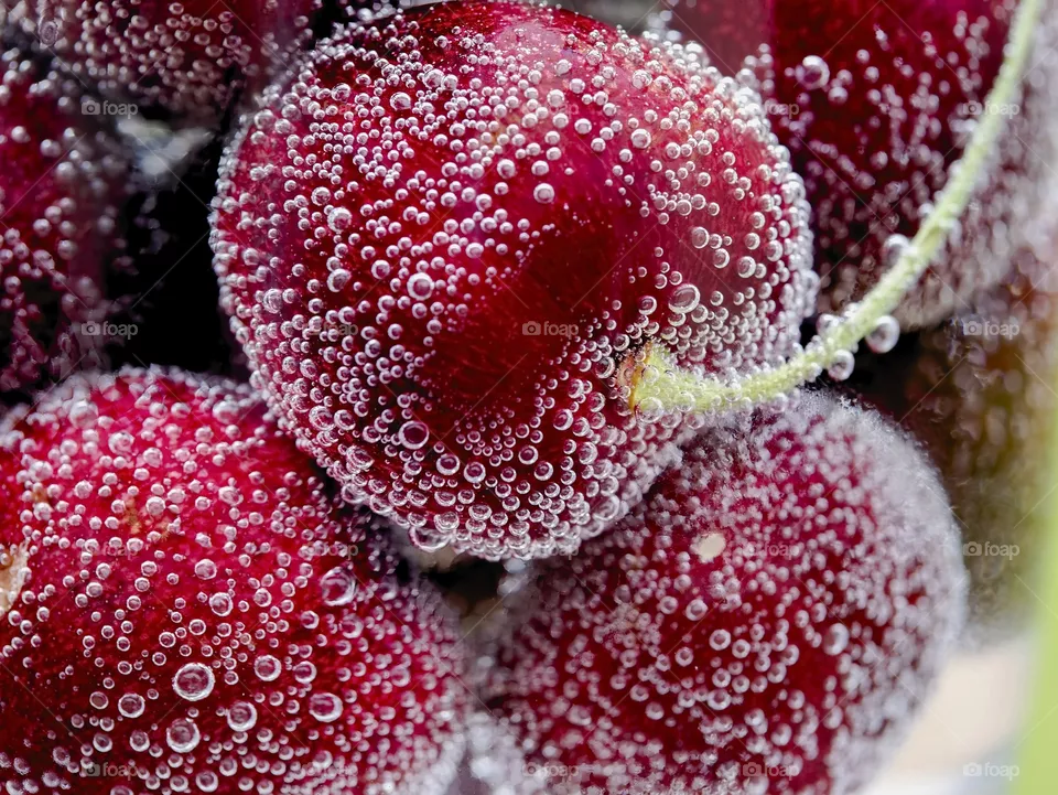 Cerezas