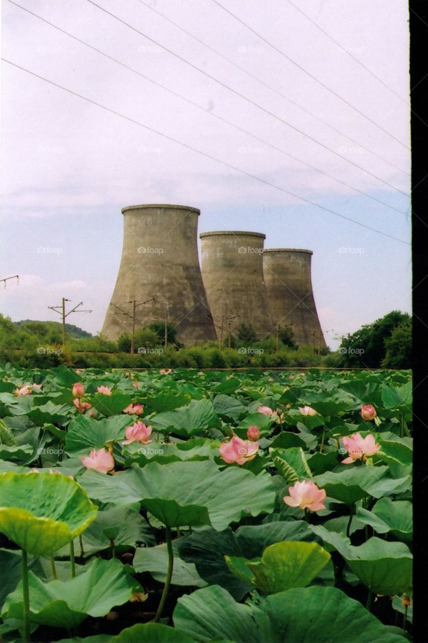 hydroelectric power station,  lotus lake, nature, architecture, analog camera