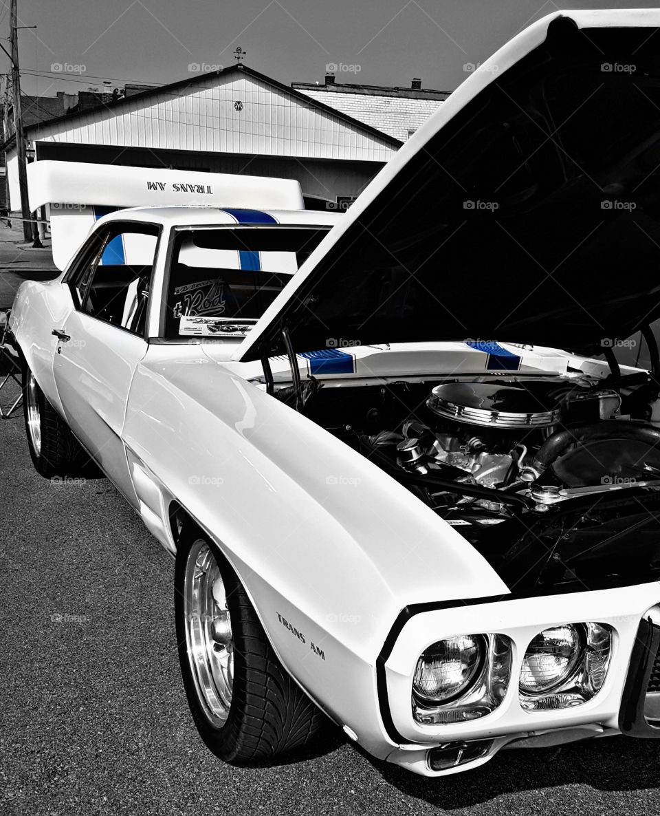 Black White and Blue