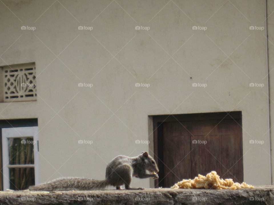 The art of composition