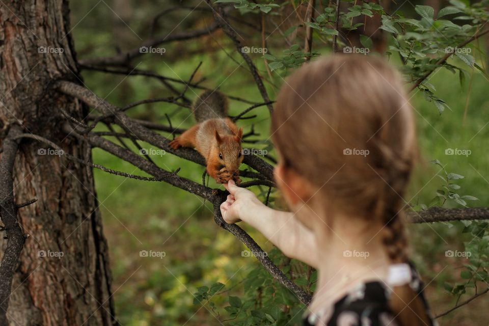 Little girl feeds a squirrel with nuts in the park