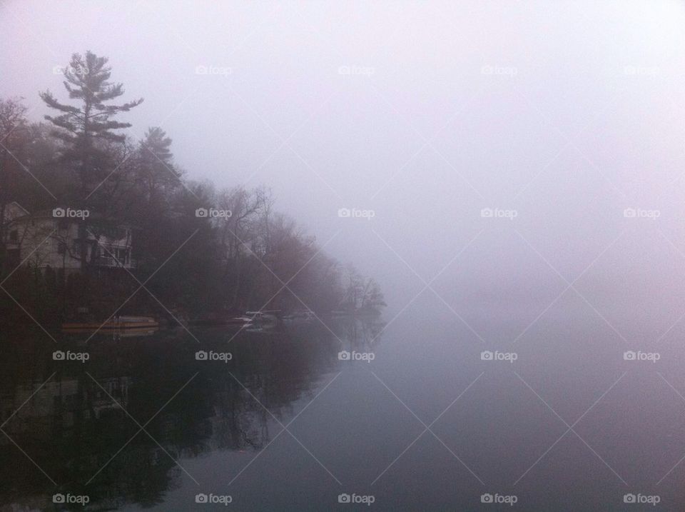 Foggy lake