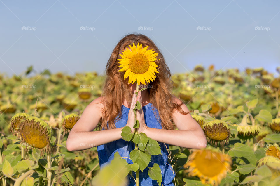Young woman in the summer field holding sunflower infront of her face