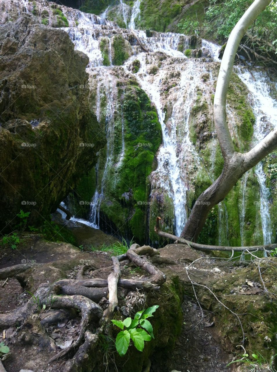 Spring Waterfalls 