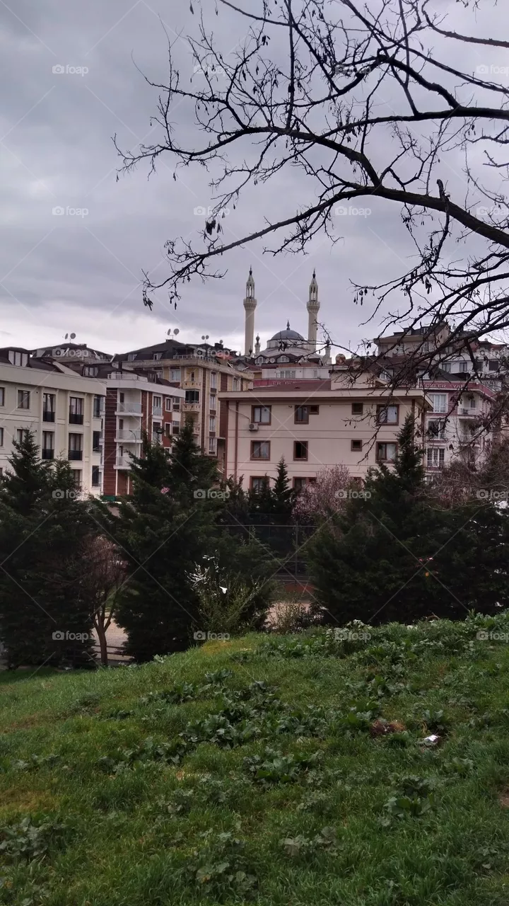 mosque