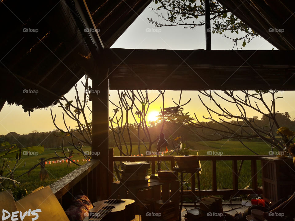 place for sunset in the rice field