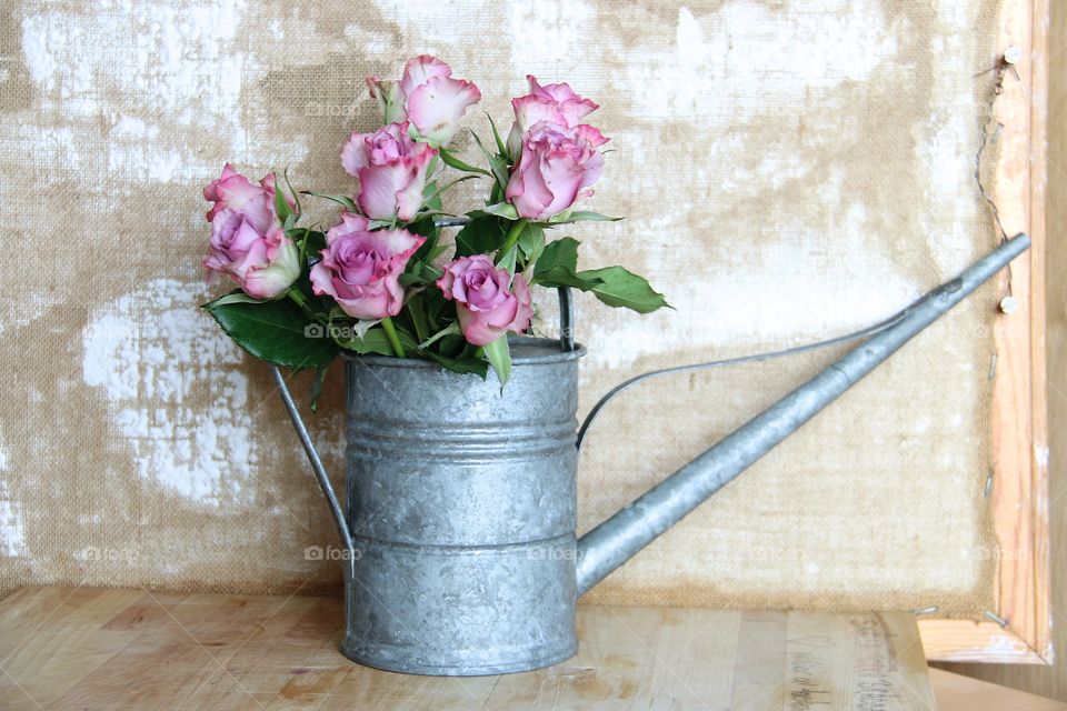 pink roses with water jug ​​zinc