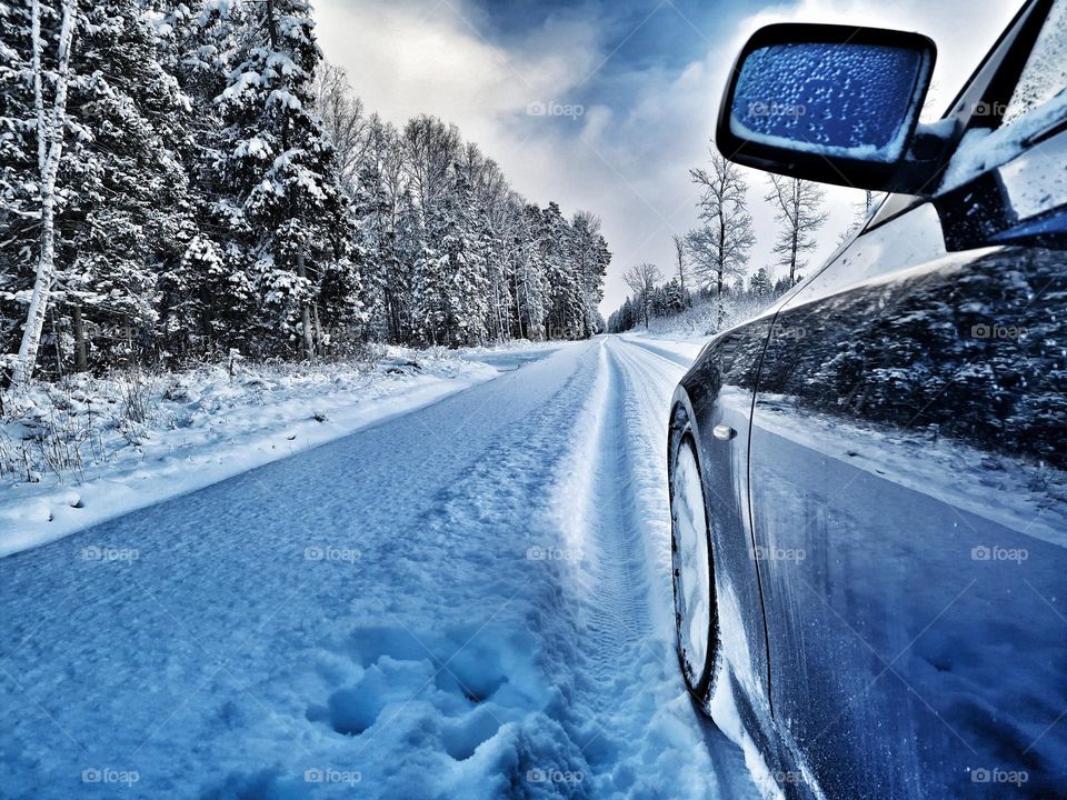 empty forest road