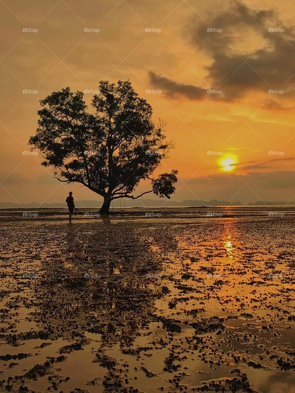 Sunset with heart tree