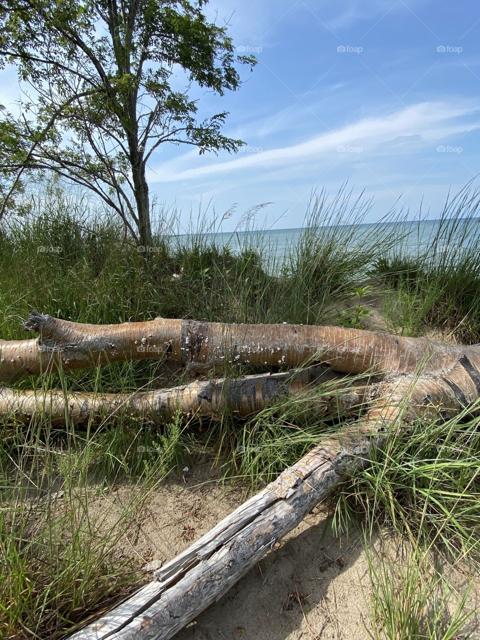 A cool breeze outdoors lake beach