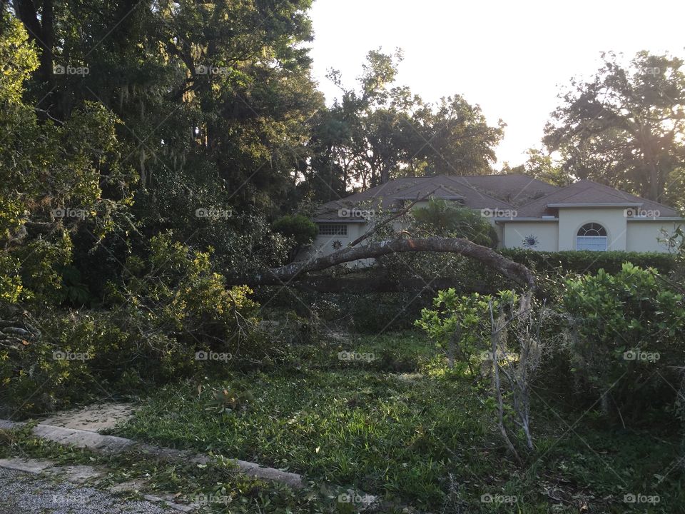 Hurricane Matthew aftermath in Volusia County, Florida.
