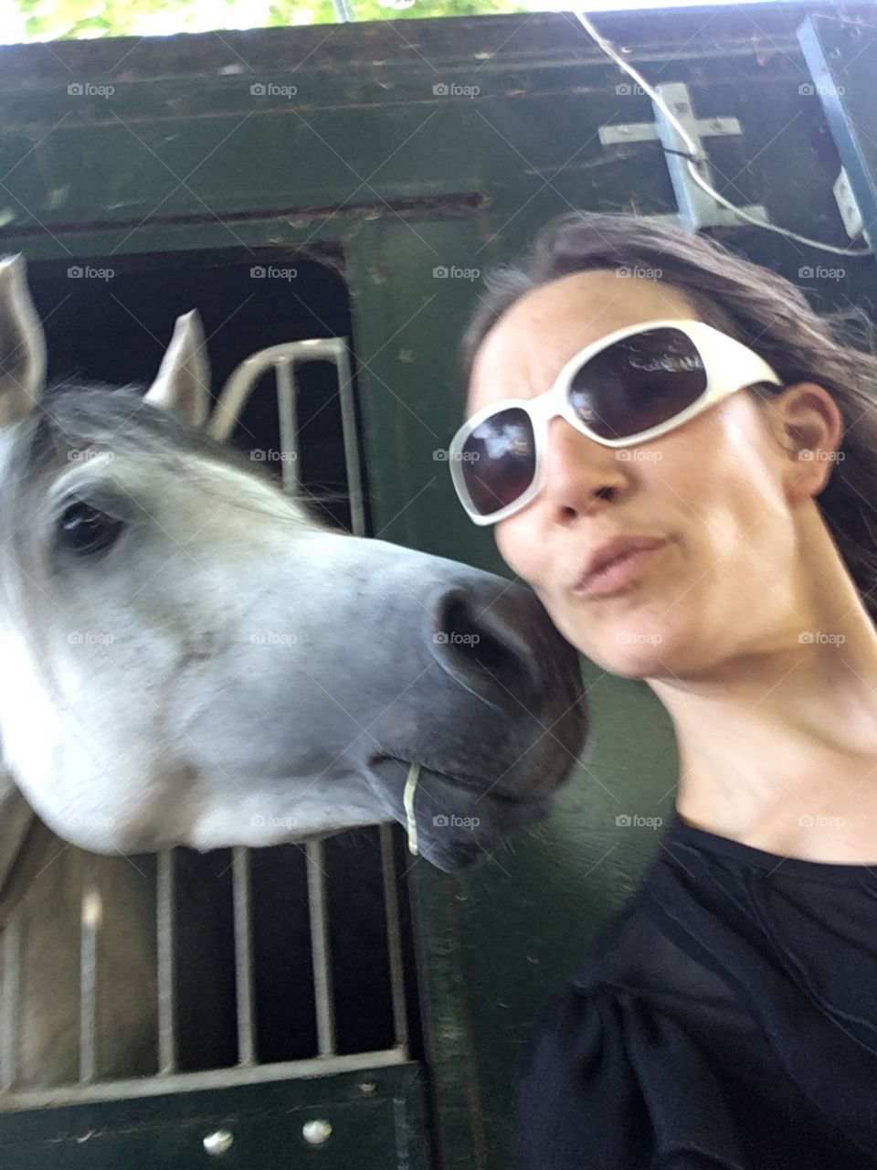 kiss of the horse love 