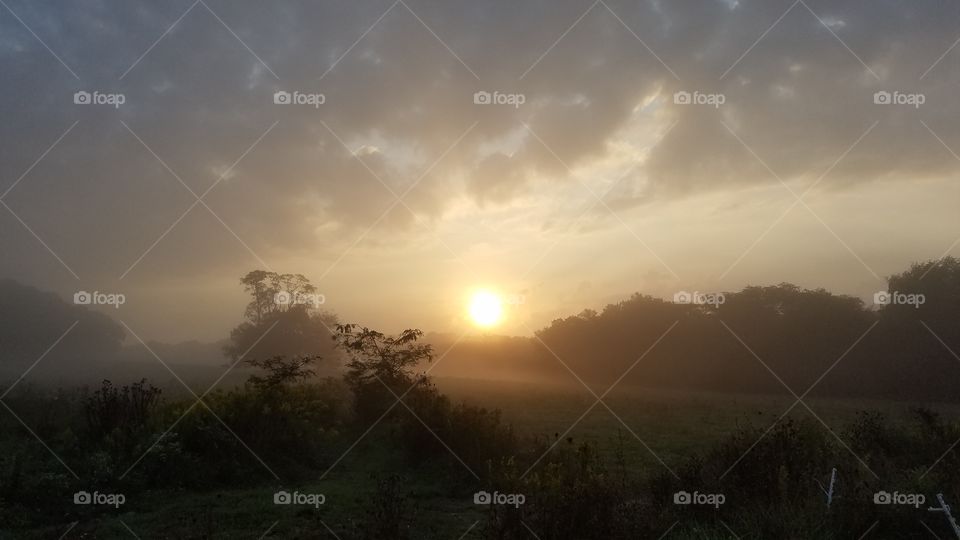 Sunrise on a foggy morning