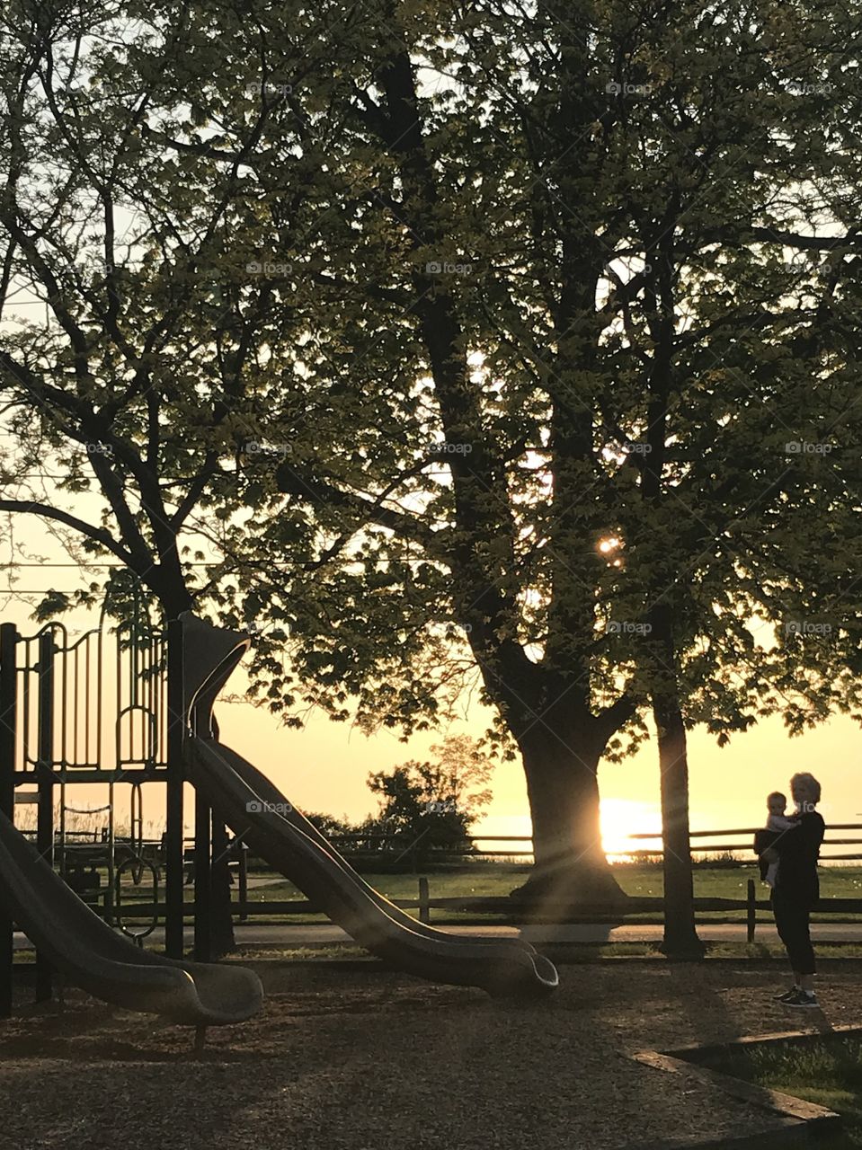 Family silhouette 