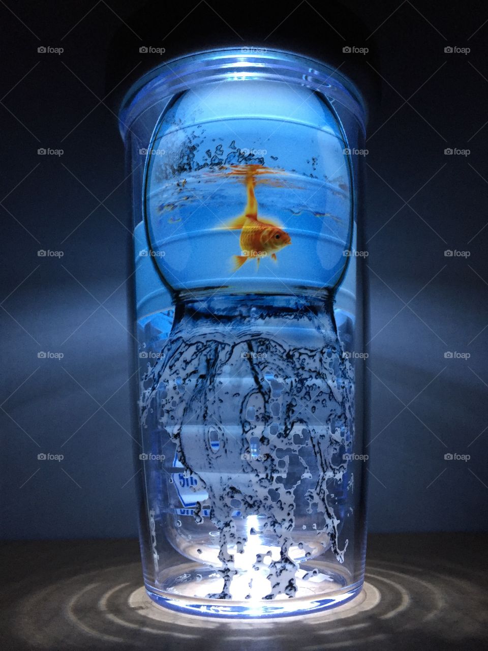 Fishbowl art on Tervis Tumbler on led coaster bottle glorifier 