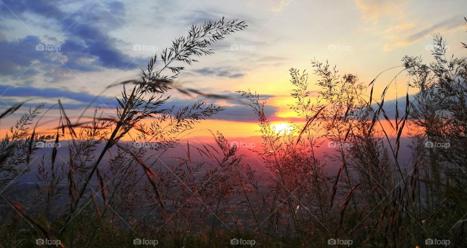Camping outside and watching the sunrise,