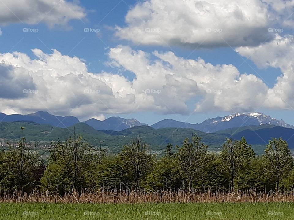 green trees under white clouds