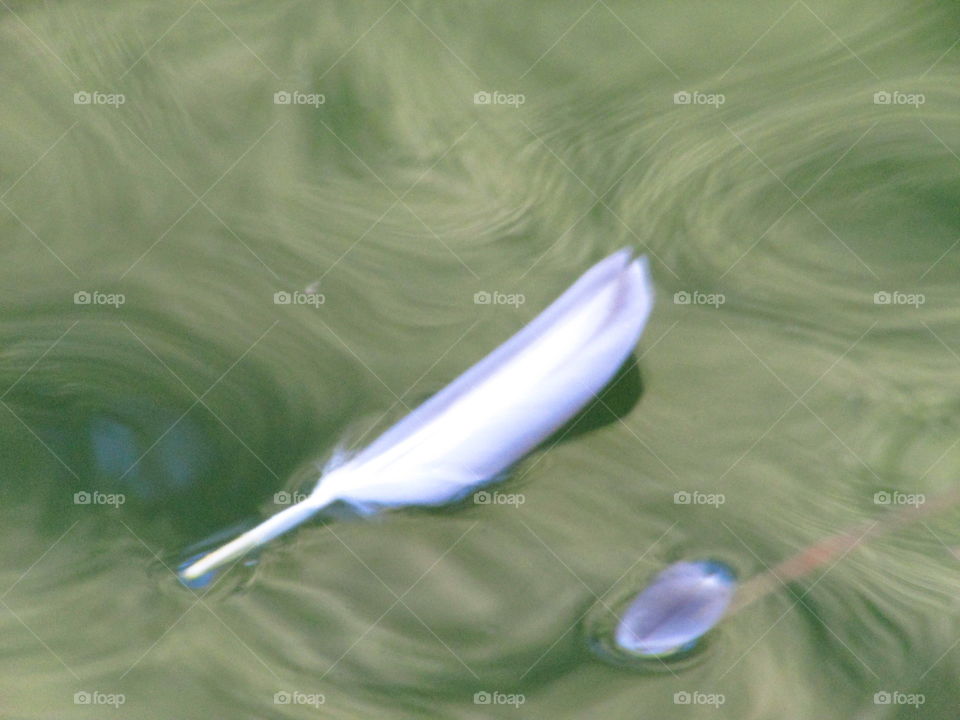 Feather and the Lake