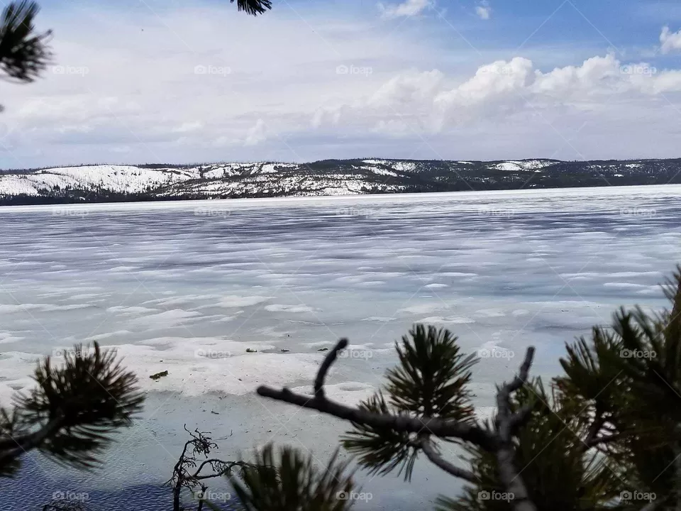 icy Snow