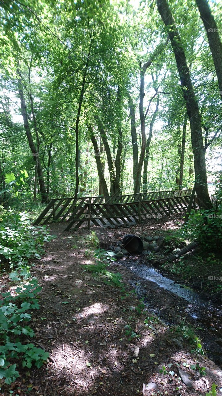 Bridge over small stram in the woodland.