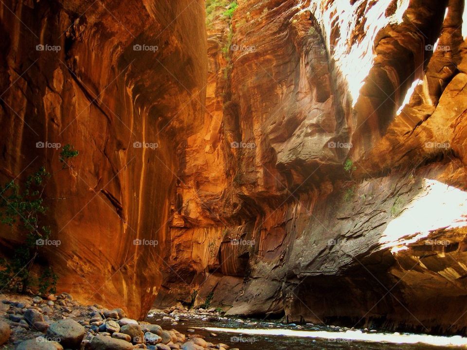 Sunlight on bryce canyon national park