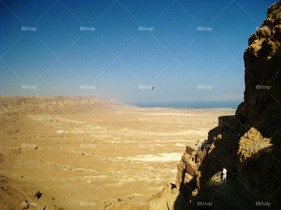 A Vulture Over Masada