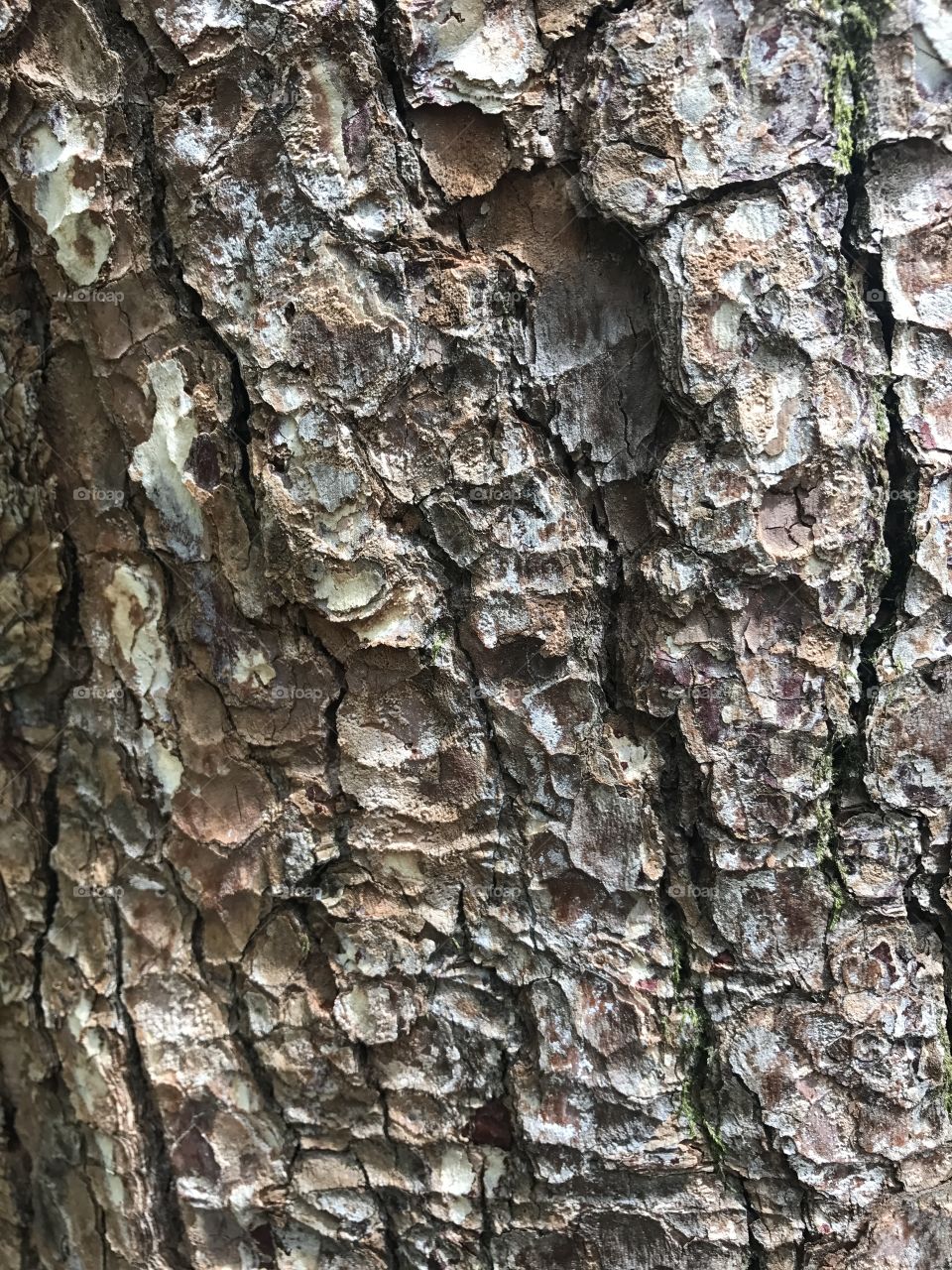 Woods skin 
