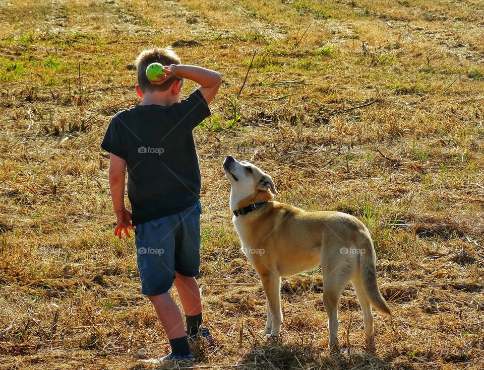 Boy And His Dog At Sunset. Young Boy Throwing A Ball For His Dog During The Golden Hour
