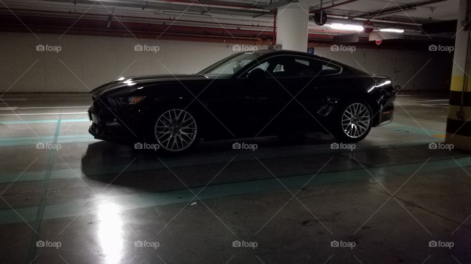 beautiful car in shadow