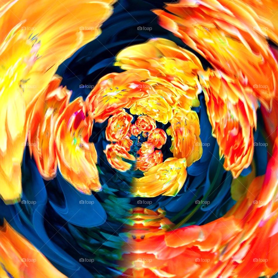 Abstract Flower Swirl