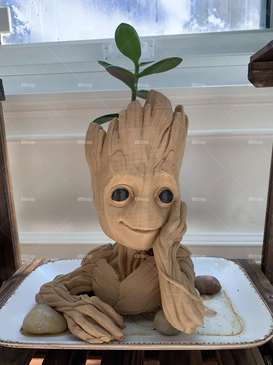 Smiling Flower Pot 😊