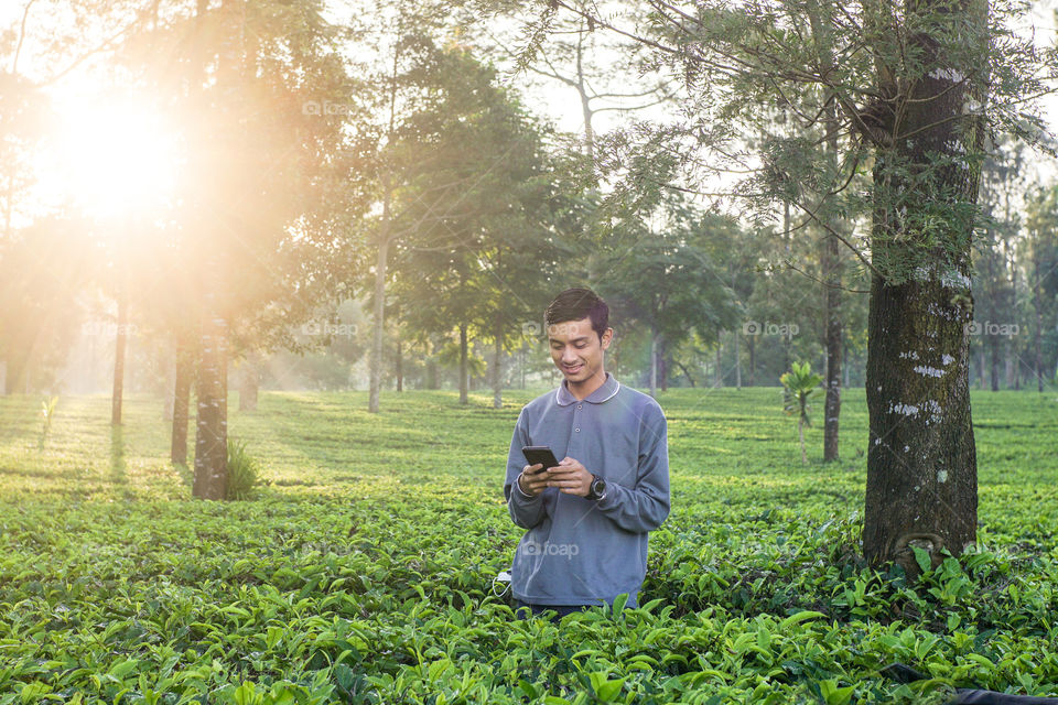 A boy enjoys the morning in the plantation tea