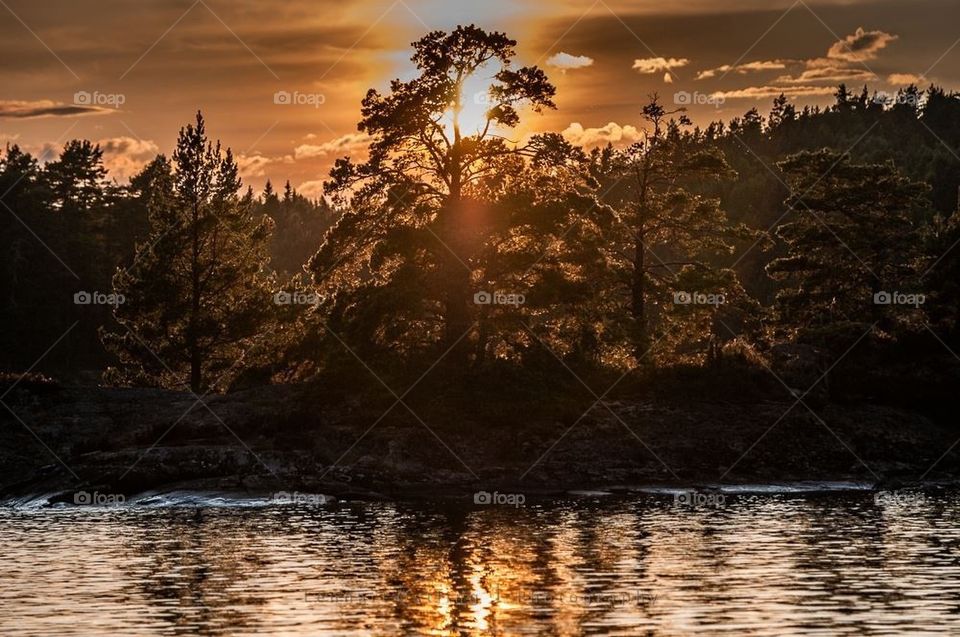 Landscape sunset over lake-archipelago.
