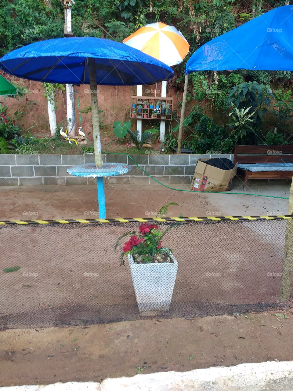 lindo