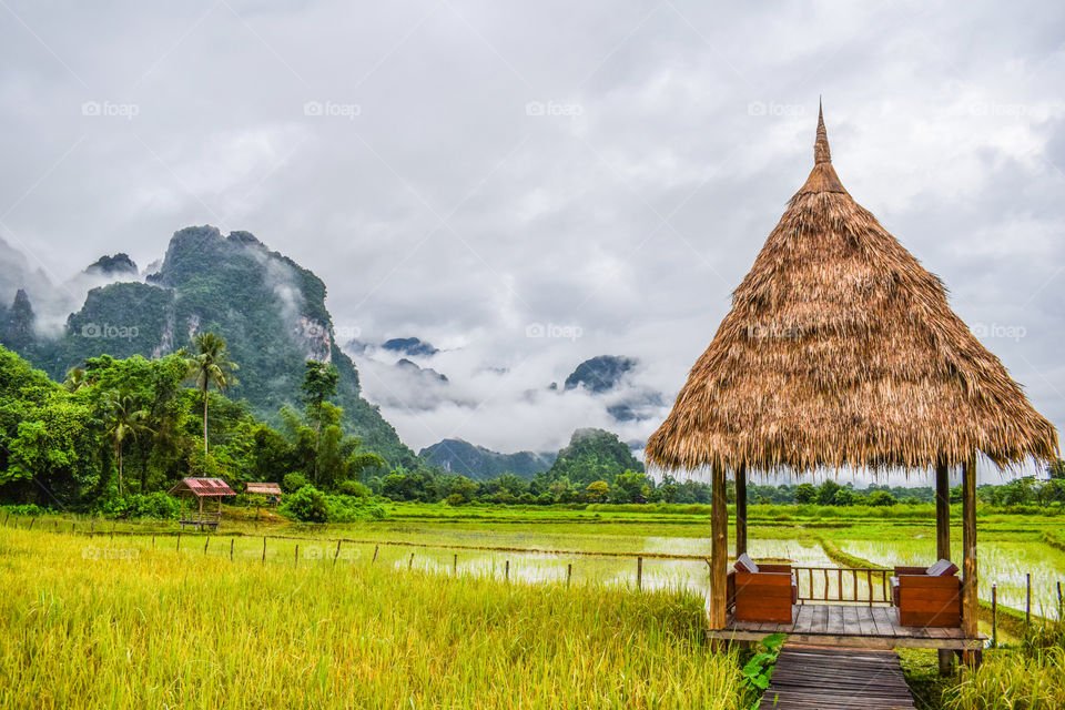 Nature View : Good Morning at Vieng Tara Villa, Vang Vieng, Laos : July 8, 2018
