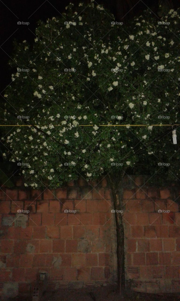 No Person, Wall, Desktop, Pattern, Texture