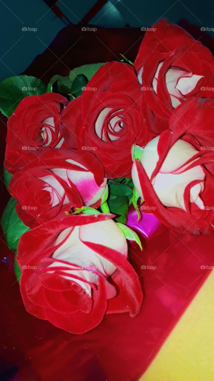 Rosas 🌹