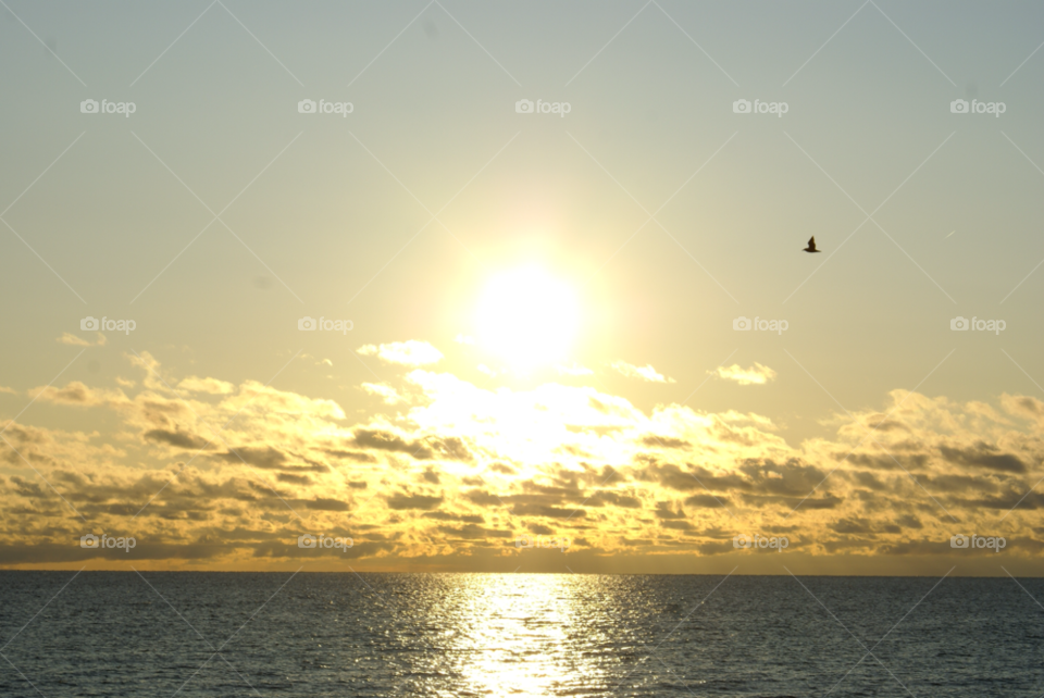 landscape beach sky green by somebeach