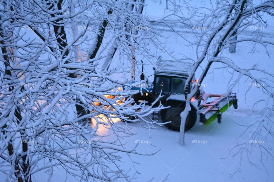 Winter, Snow, Frost, Cold, Frozen